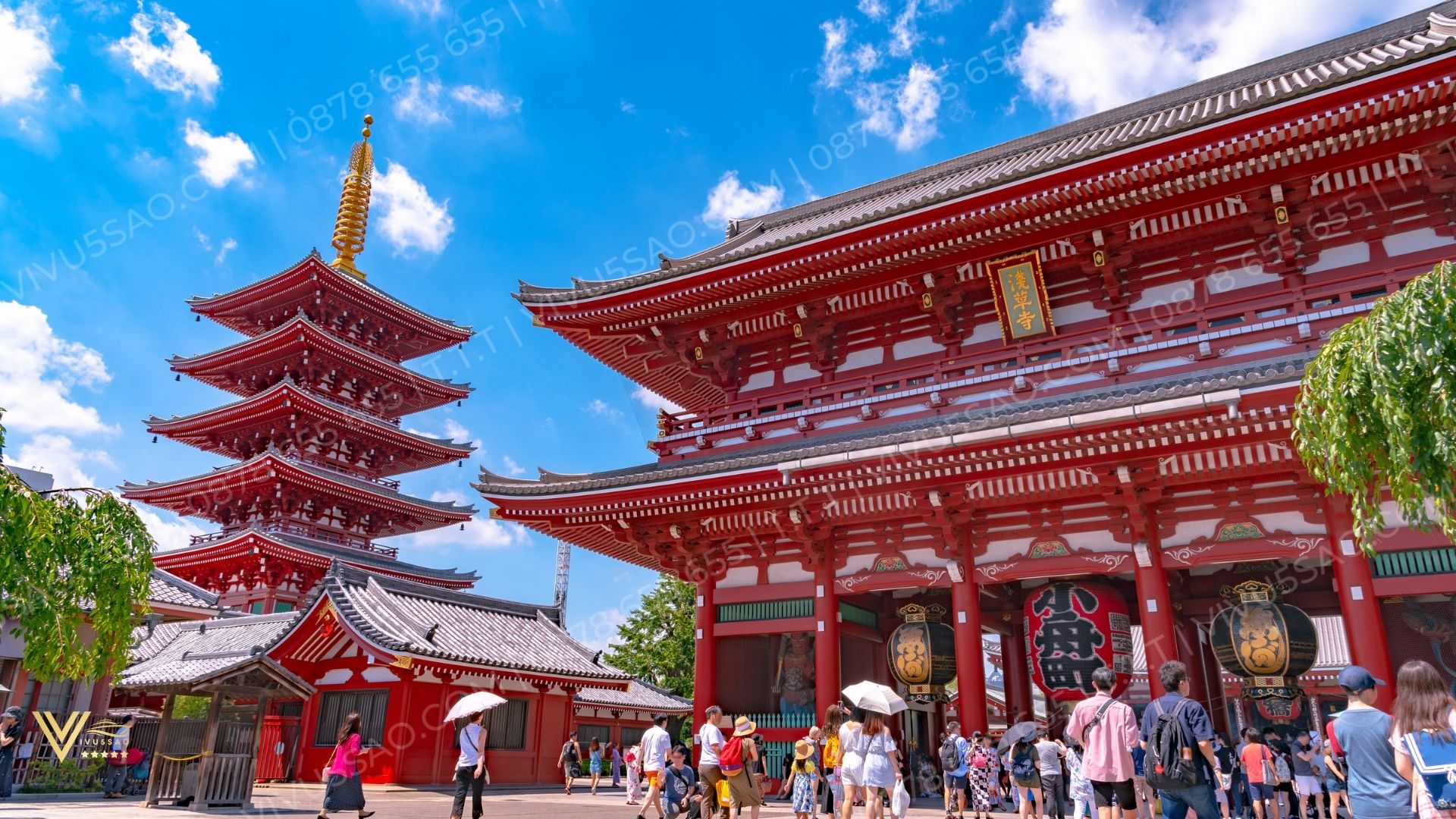 Kinh nghiệm du lịch Tokyo 2024 – Hành trình đến trái tim Nhật Bản