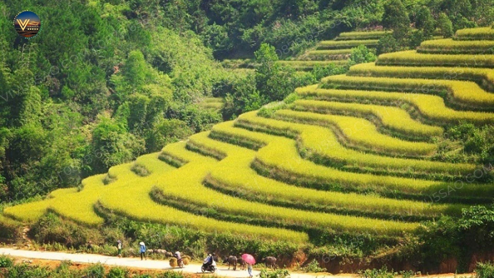 Mùa vàng Bình Liêu 2023 - Mảnh ghép quan trọng của du lịch Quảng Ninh