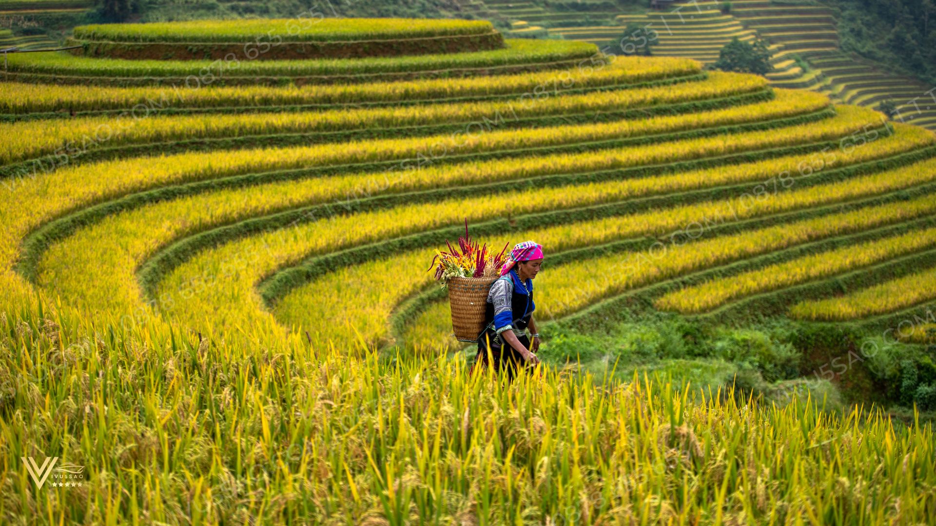 Thời Điểm Vàng Cho Nhiếp Ảnh Gia