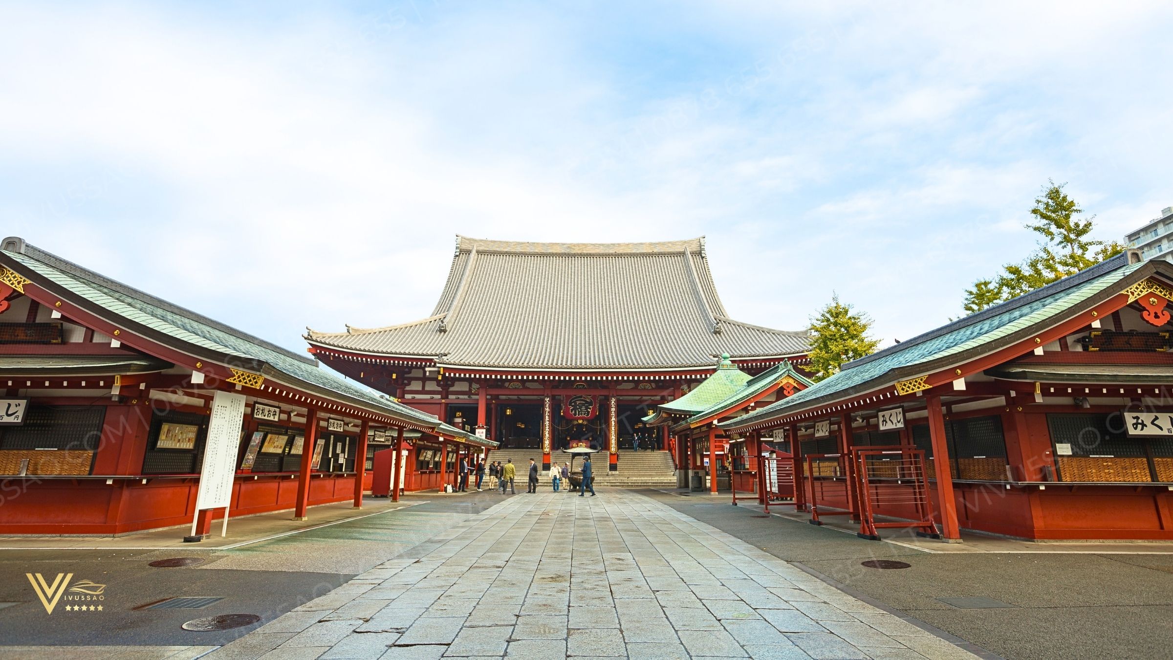 Tour Nhật Bản 6N5Đ- Mùa Hoa Anh Đào 2025: Osaka – Kobe – Kyoto – Núi Phú Sỹ – Tokyo