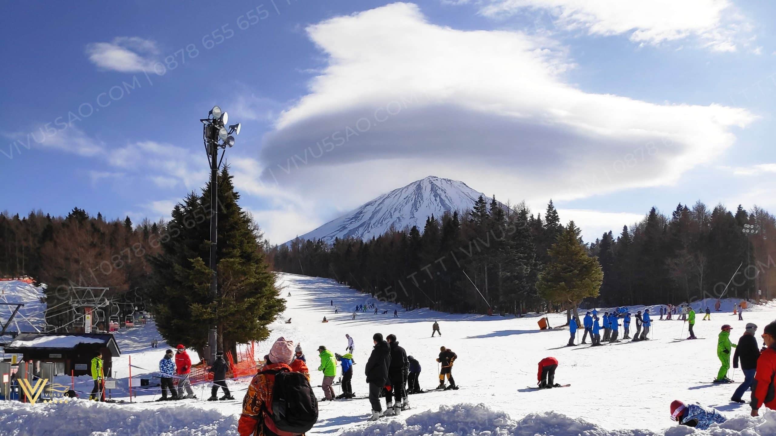 Trải Nghiệm Tour Nhật Bản Tết Nguyên Đán năm 2025 – Hành Trình 6N5Đ