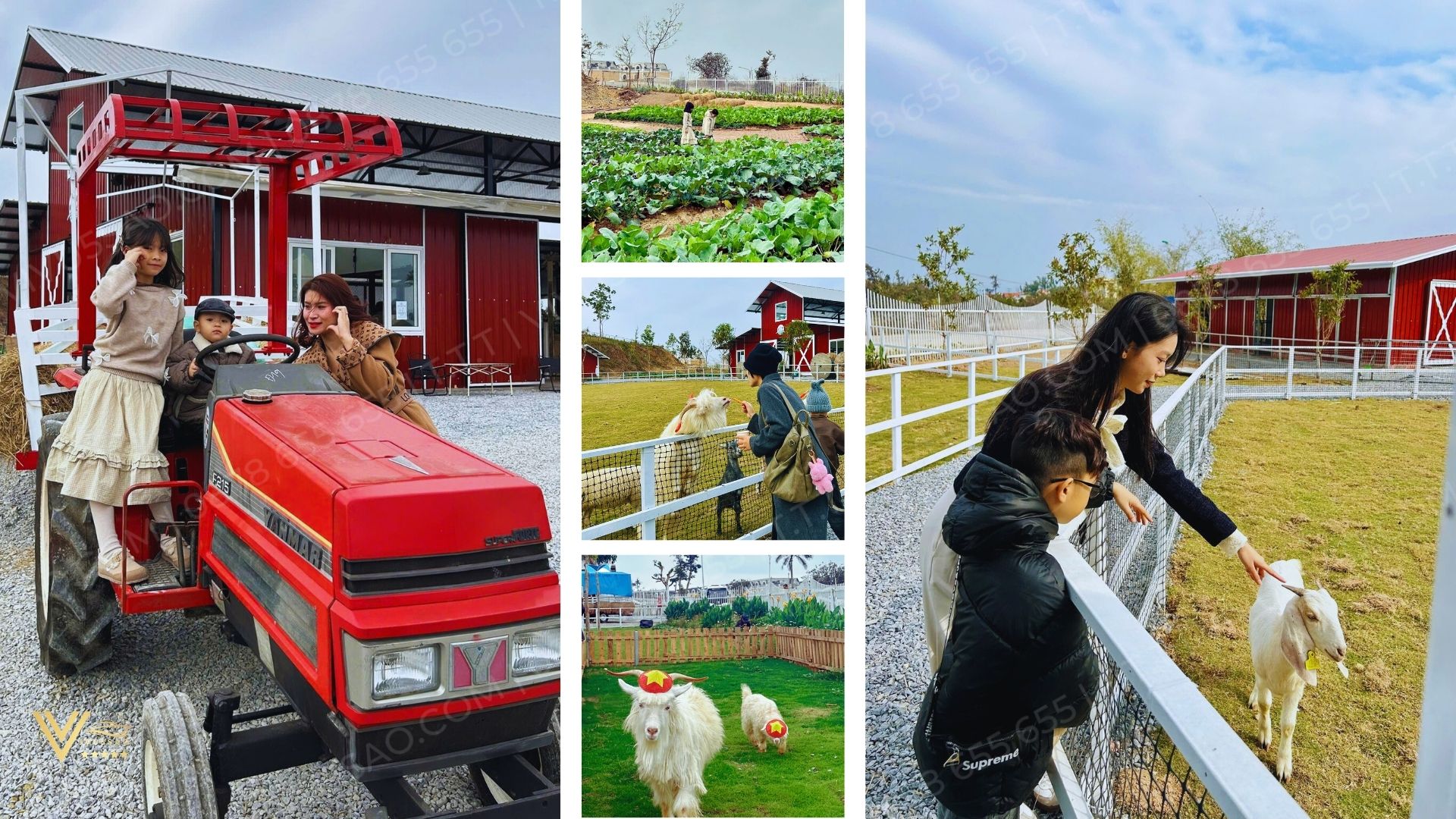 Du Lịch Tuần Châu 2025 – Đặt vé Tuần Châu Farm Online, Bảng Giá Mới Nhất 2025 Du Lịch Tuần Châu 2025 – Đặt vé Tuần Châu Farm Online, Bảng Giá Mới Nhất 2025