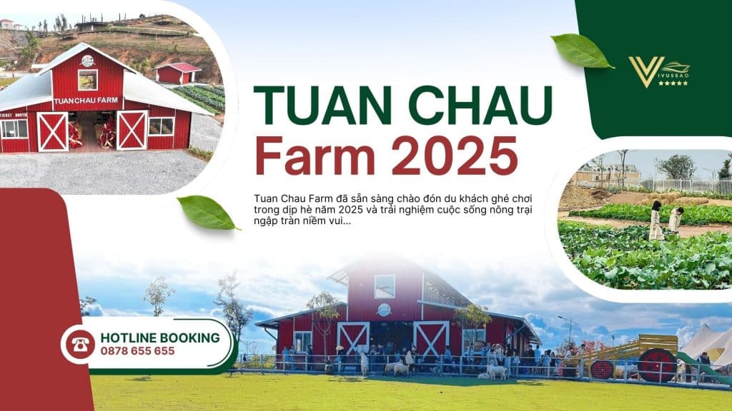 Du Lịch Tuần Châu 2025 – Đặt vé Tuần Châu Farm Online, Bảng Giá Mới Nhất 2025