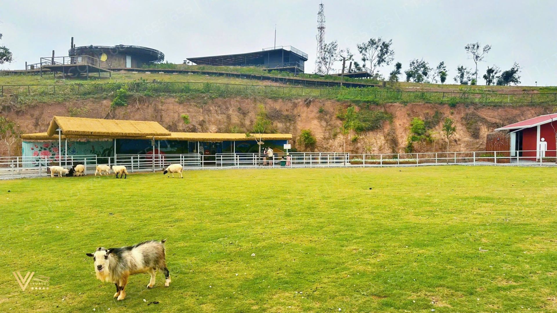 Du Lịch Tuần Châu 2025 – Đặt vé Tuần Châu Farm Online, Bảng Giá Mới Nhất 2025 Du Lịch Tuần Châu 2025 – Đặt vé Tuần Châu Farm Online, Bảng Giá Mới Nhất 2025