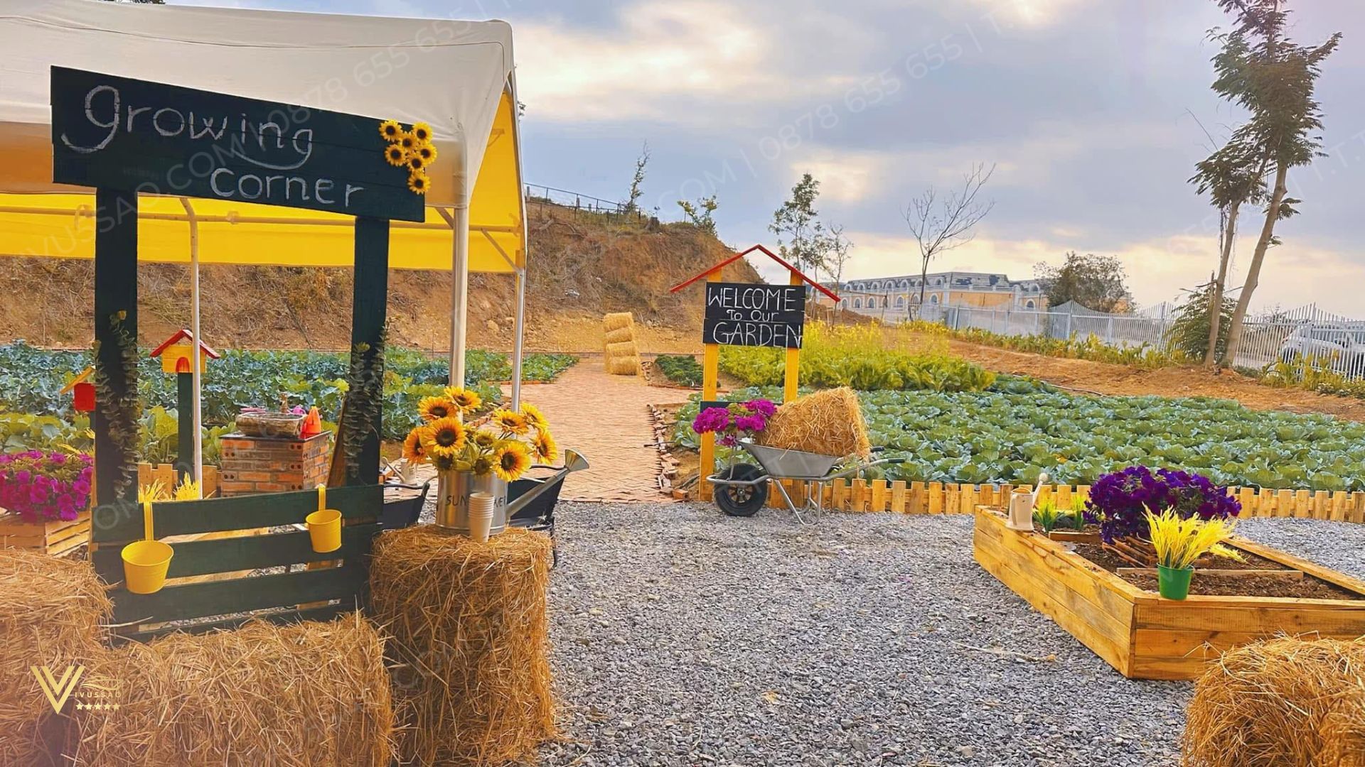 Du Lịch Tuần Châu 2025 – Đặt vé Tuần Châu Farm Online, Bảng Giá Mới Nhất 2025 Du Lịch Tuần Châu 2025 – Đặt vé Tuần Châu Farm Online, Bảng Giá Mới Nhất 2025