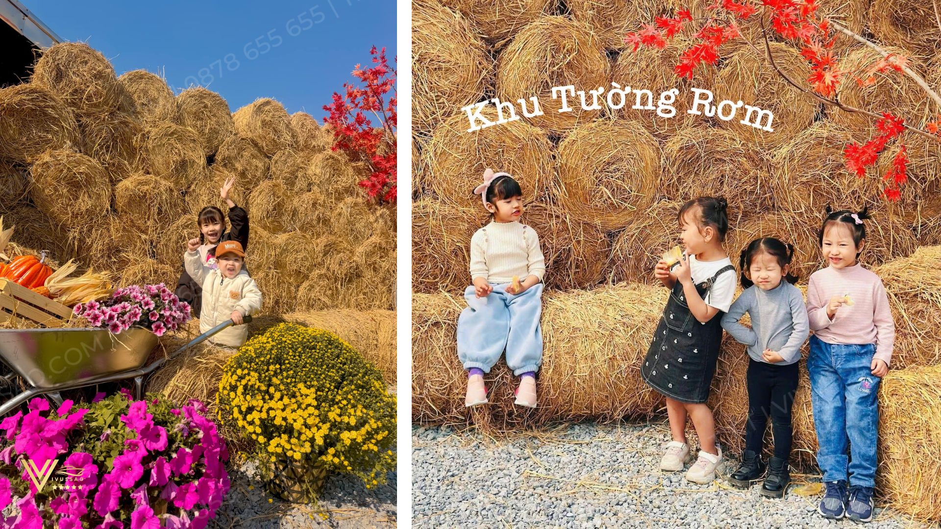 Du Lịch Tuần Châu 2025 – Đặt vé Tuần Châu Farm Online, Bảng Giá Mới Nhất 2025 Du Lịch Tuần Châu 2025 – Đặt vé Tuần Châu Farm Online, Bảng Giá Mới Nhất 2025