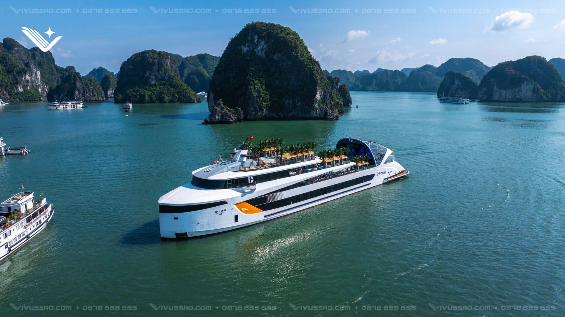 Review Dolphin Halong Cruise