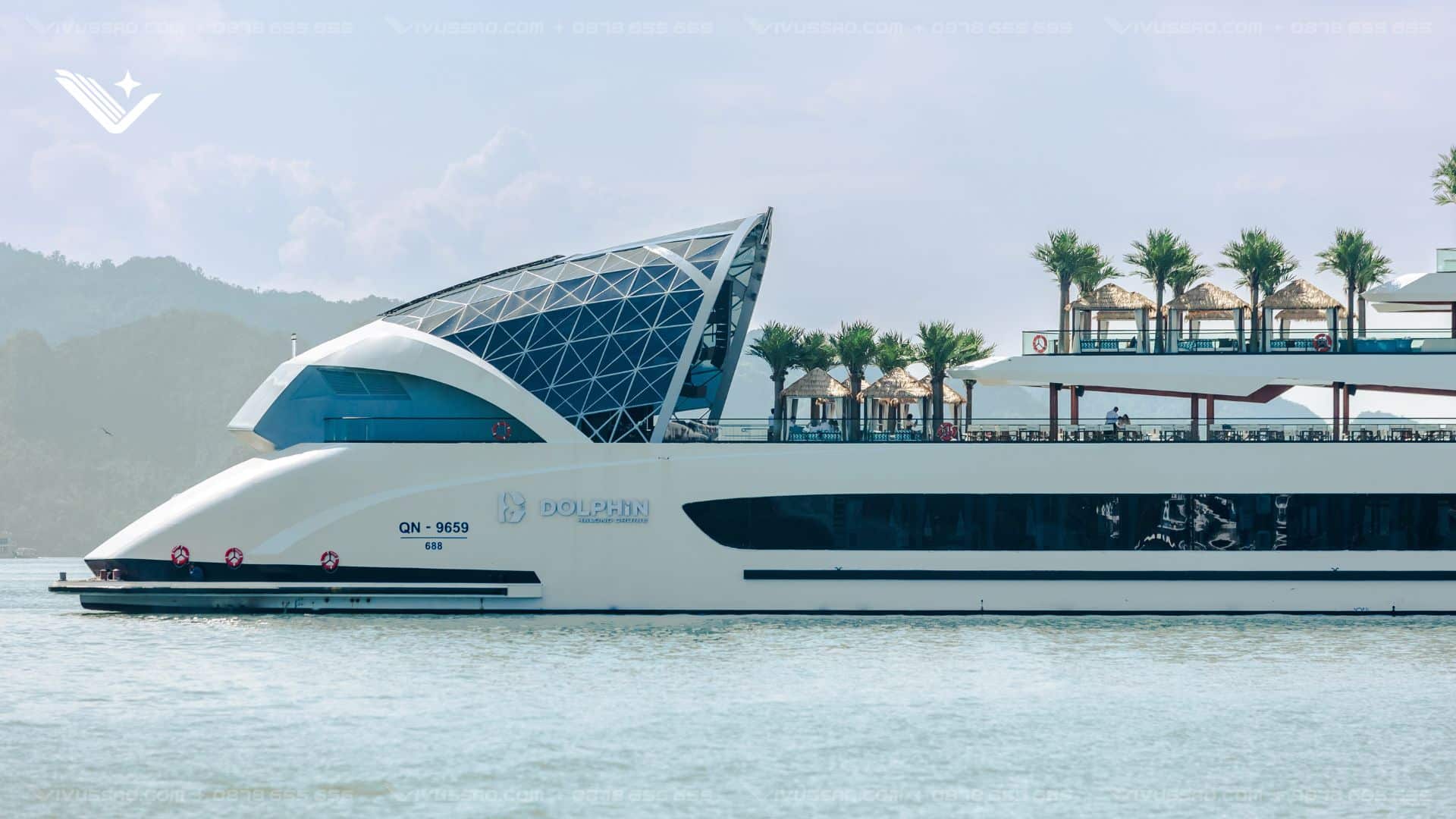 Dolphin Halong Cruise 2026: Lịch Trình, Giá Vé Mới Nhất & Kinh Nghiệm Đặt Tour Review du thuyền Dolphin Halong Cruise