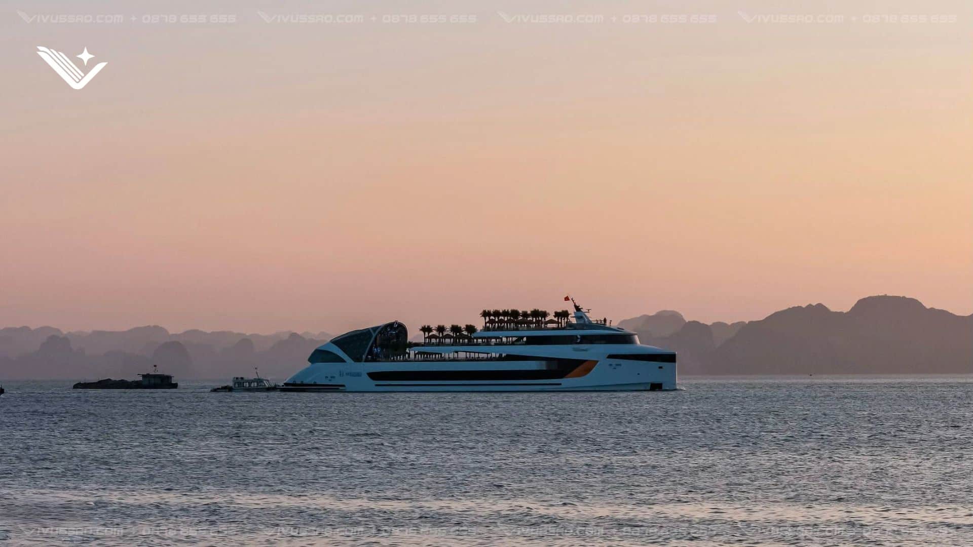Dolphin Halong Cruise 2026: Lịch Trình, Giá Vé Mới Nhất & Kinh Nghiệm Đặt Tour Dolphin Halong Cruise 2026: Lịch Trình, Giá Vé Mới Nhất & Kinh Nghiệm Đặt Tour