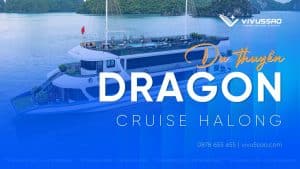 Review du thuyền Dragon Cruise Hạ Long 2026: Tour 4 giờ và dạ tiệc trên vịnh