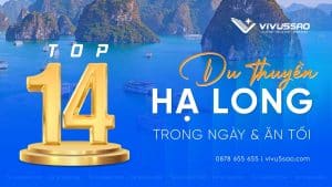 Top 14 Du Thuyền Hạ Long Trong Ngày, Ăn Tối Giá Tốt Nhất Năm 2026