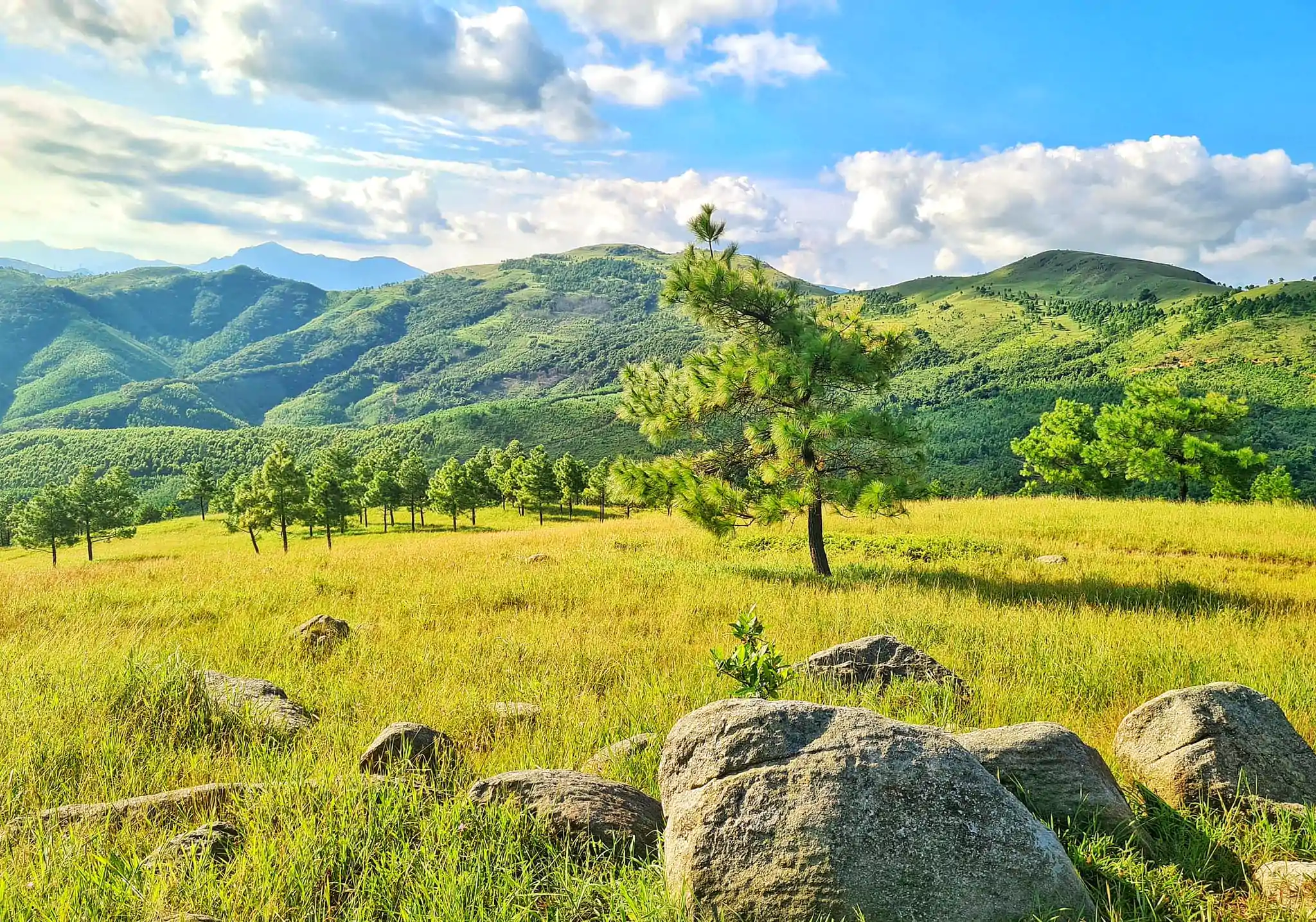 Đỉnh Phượng Hoàng-Uông Bí-Quảng Ninh