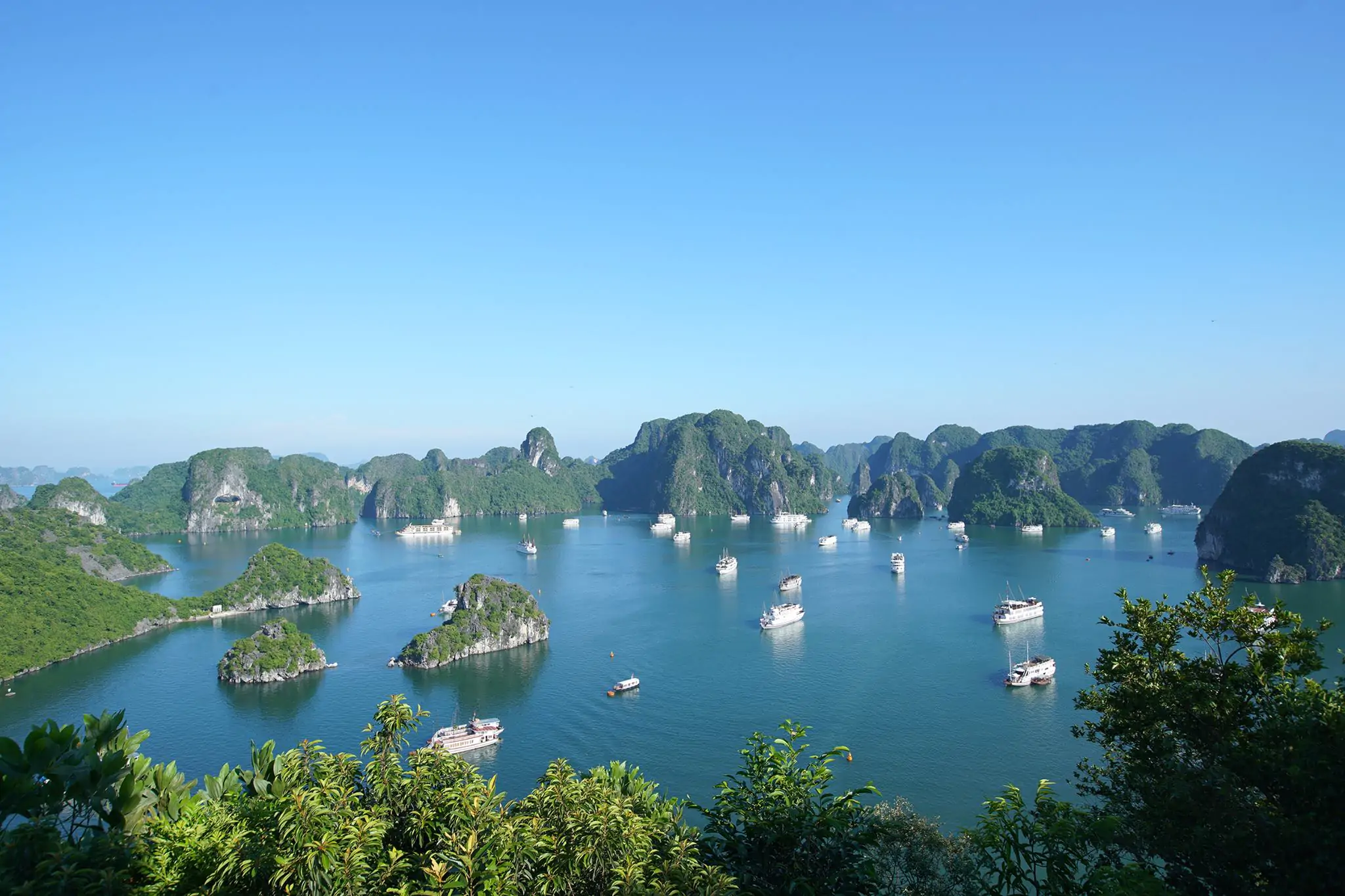 Giá tàu tiếng thăm vịnh Hạ Long | Tour tàu du lịch trong ngày 2023 Tour thăm vịnh trong ngày
