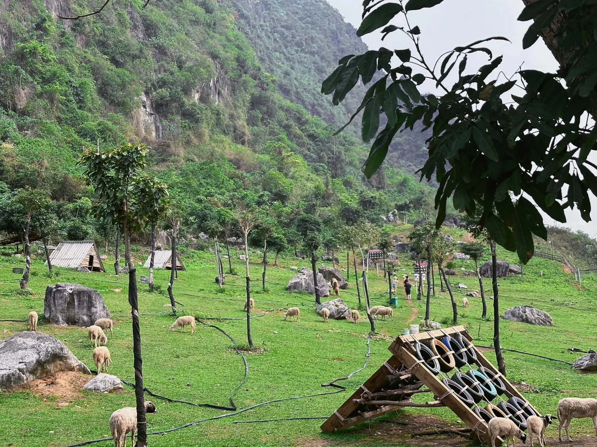 Cần gì đi xa, ngay tại Hạ Long thôi các bạn đã đi hết chưa? | Top 4 địa điểm CHECK-IN quanh Hạ Long