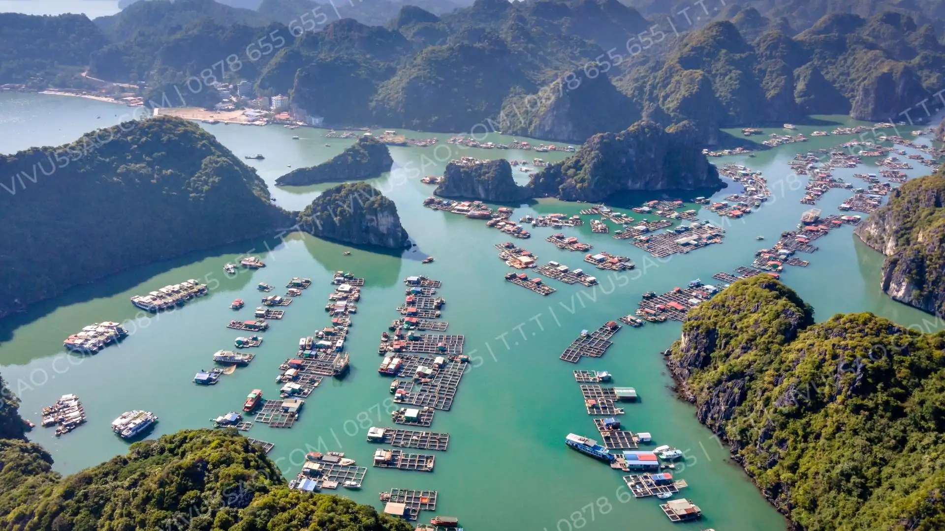 Khám phá Tour đảo hoang vịnh Hạ Long | Vịnh Lan Hạ chỉ với 999k/người Tour khám phá đảo hoang vịnh Hạ Long