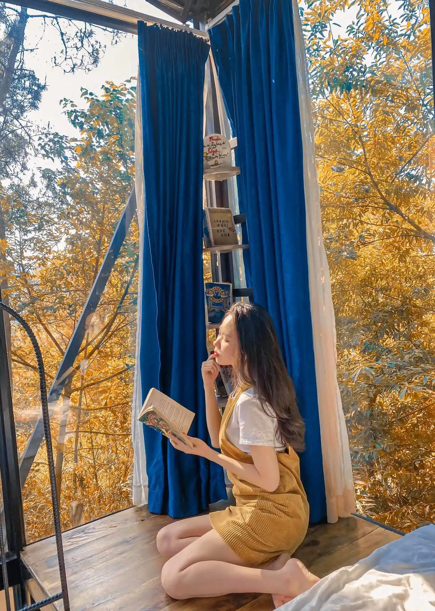 The Moonlight Villas Sóc Sơn – khu nghỉ dưỡng bí ẩn và lãng mạn tại Hà Nội 2023 Nhà Gấu- The Moonlight Villas Sóc Sơn Hà Nội