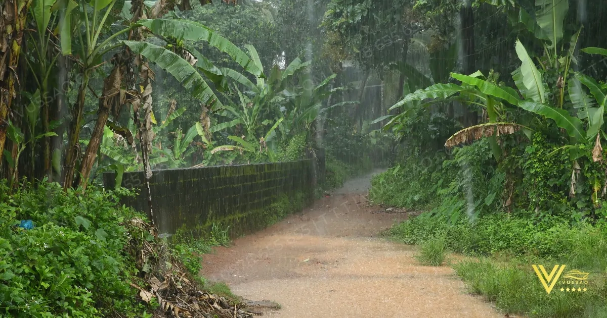 Mất điện kéo dài - Cách khắc phục tình trạng mất điện 