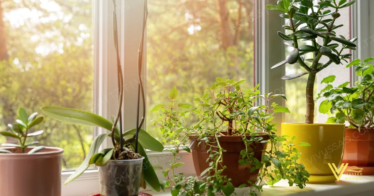 Mất điện kéo dài - Cách khắc phục tình trạng mất điện 