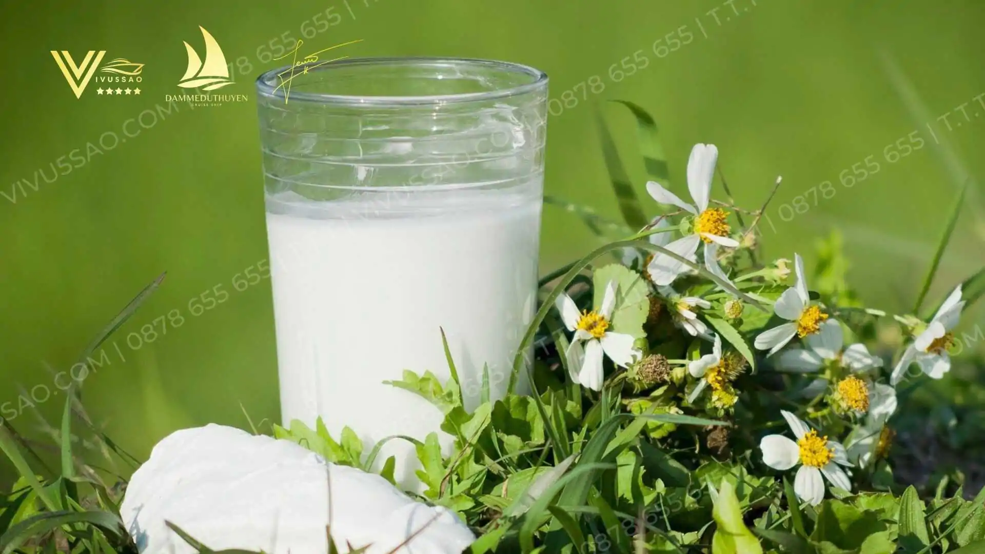 Tổng hợp những món ăn giải nhiệt cơ thể trong mùa hè 