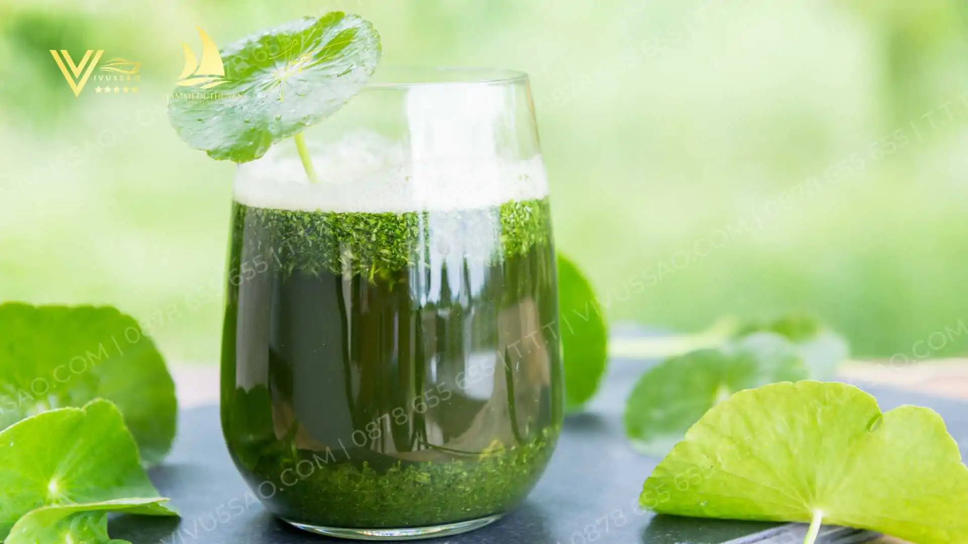 Tổng hợp những món ăn giải nhiệt cơ thể trong mùa hè 
