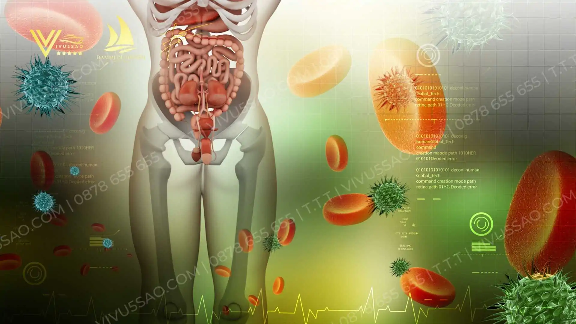 Tổng hợp những món ăn giải nhiệt cơ thể trong mùa hè