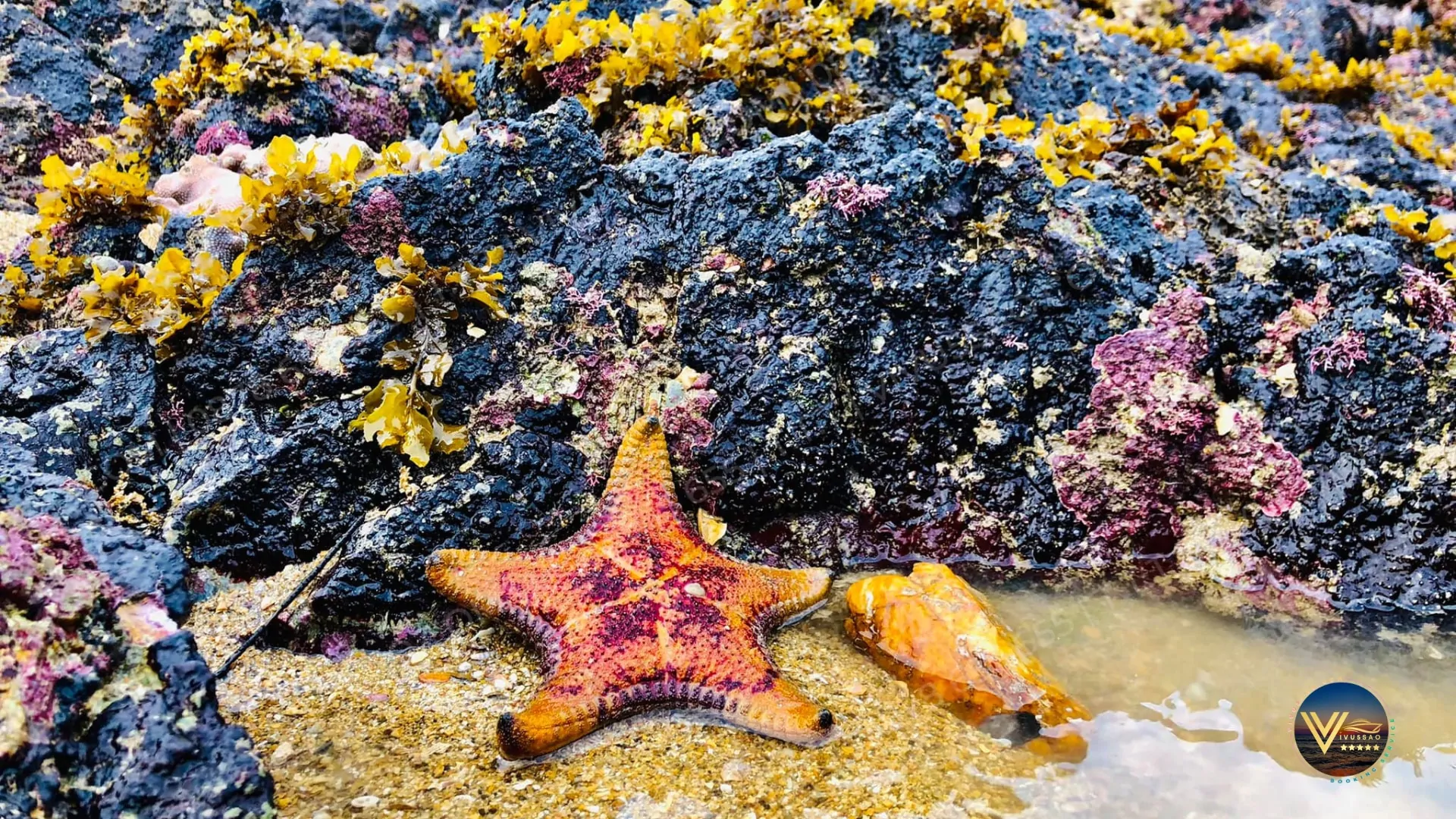 Tắm biển đảo Cái Chiên - Top 3 bãi biển ít người biết ở miền Bắc Tắm Biển đảo Cái Chiên - Top 3 bãi biển ít người biết đên tại Miền Bắc Việt Nam