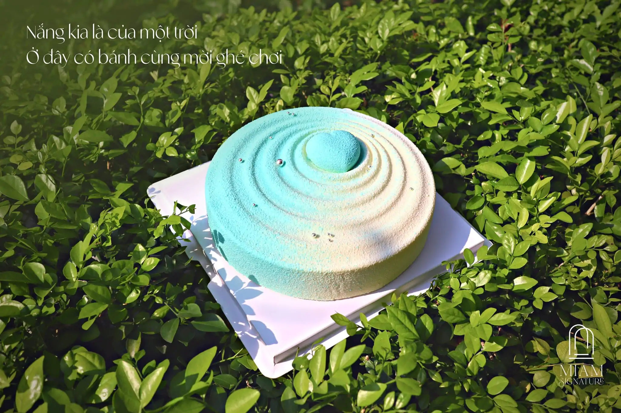 Check-in Hạ Long: Top 5 quán cà phê cực "chill" sở hữu view triệu đô | Miam Signature - Đường Bao biển Hạ Long