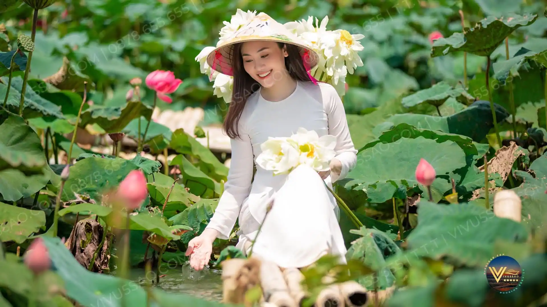Mùa sen Đông Triều - Quảng Ninh 2023