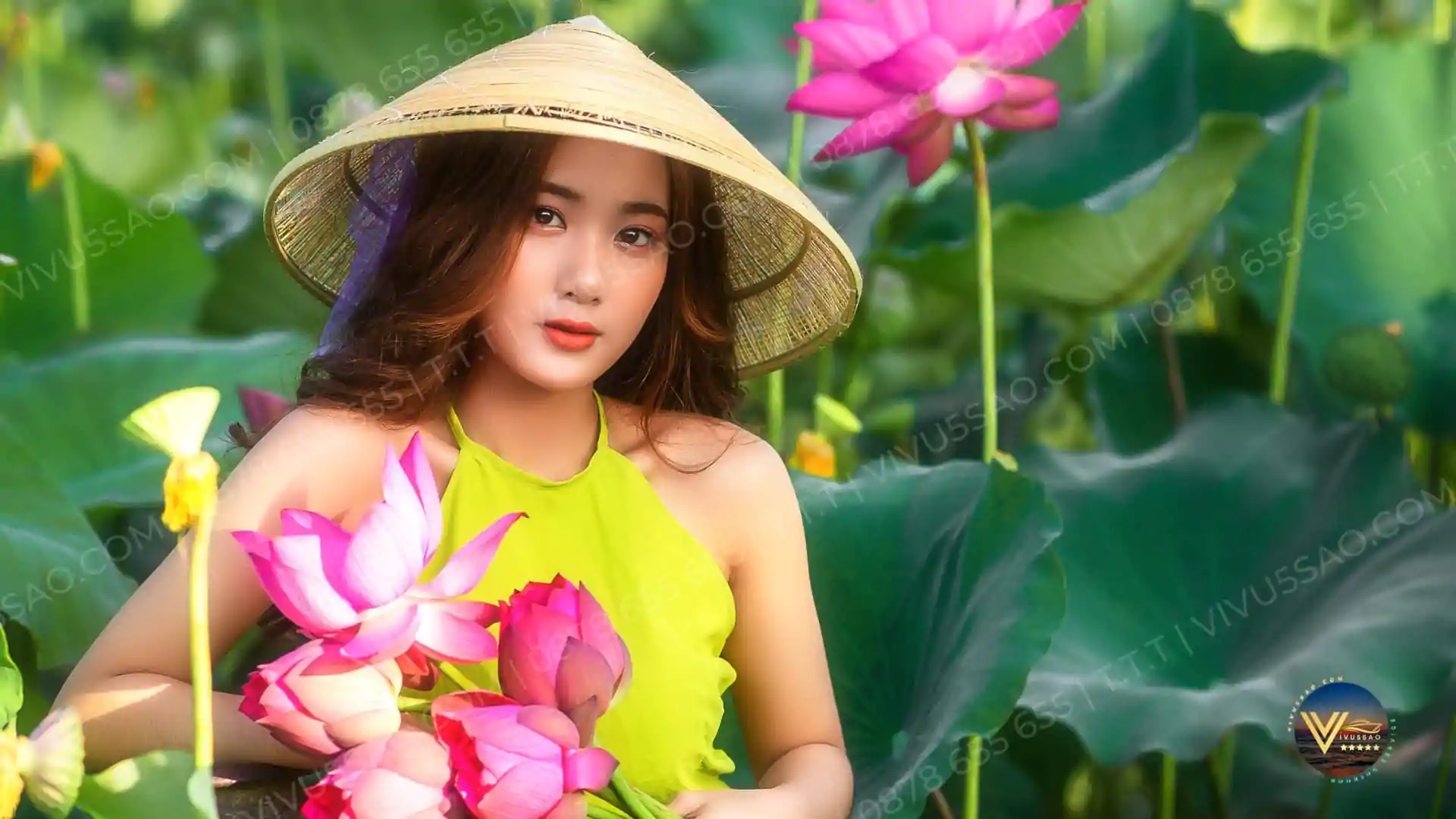 Mùa sen Đông Triều - Quảng Ninh 2023
