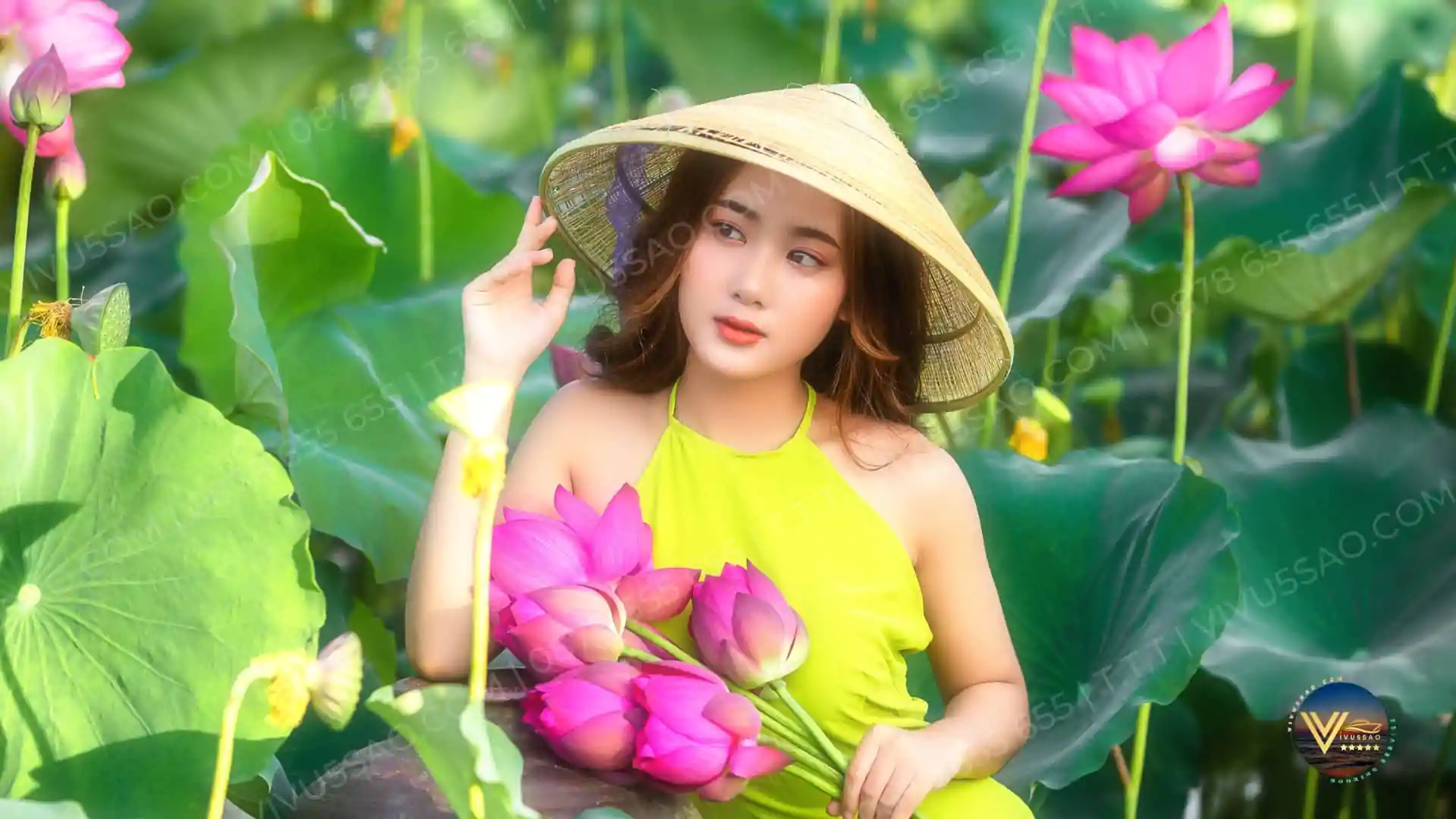 Mùa sen Đông Triều - Quảng Ninh 2023