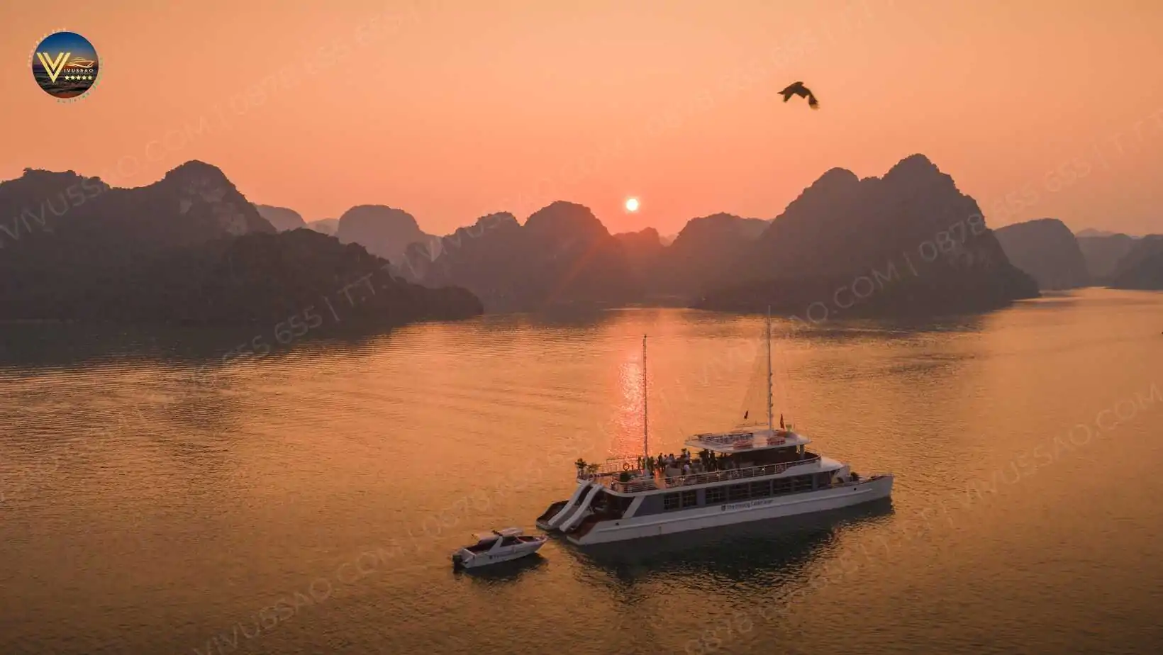 Review Bãi biển Marina Hạ Long mới nhất 2024 | Check-in Bãi Tắm Hùng Thắng Lịch trình du thuyền Catamaran Hạ Long thăm vịnh trong ngày
