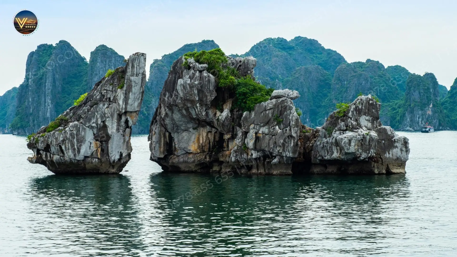 Thực trạng hòn Trống Mái – Biểu tượng vịnh Hạ Long mới nhất 2023 Thực trạng hòn Trống Mái – Biểu tượng vịnh Hạ Long mới nhất 2023