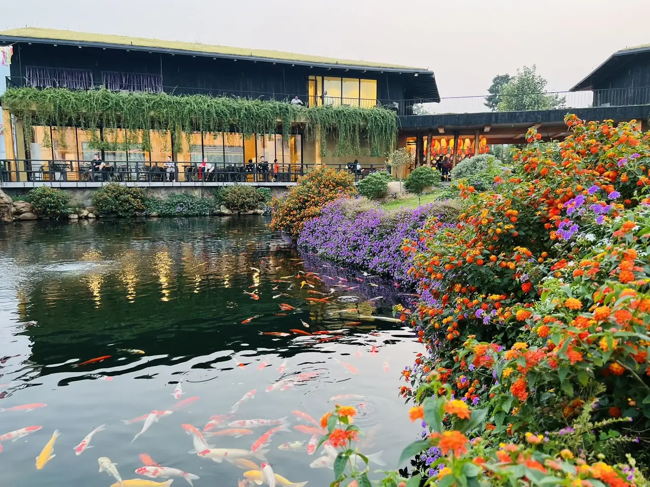 Khám Phá Satoyama Village – Khu Nghỉ Dưỡng Gần Hà Nội Phong Cách Nhật Bản 2023 Khám Phá Satoyama Village – Khu Nghỉ Dưỡng Gần Hà Nội Phong Cách Nhật Bản 2023