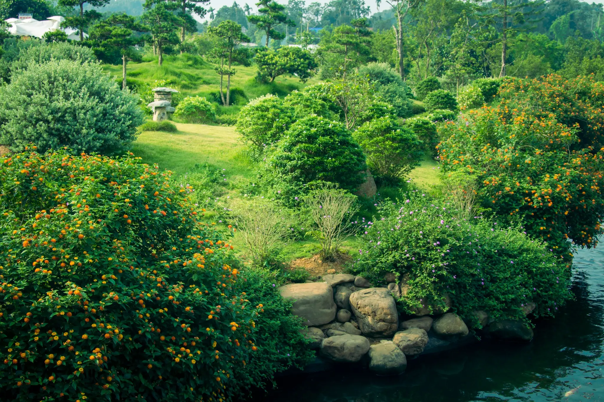 Khám Phá Satoyama Village – Khu Nghỉ Dưỡng Gần Hà Nội Phong Cách Nhật Bản 2023 Khám Phá Satoyama Village – Khu Nghỉ Dưỡng Gần Hà Nội Phong Cách Nhật Bản 2023
