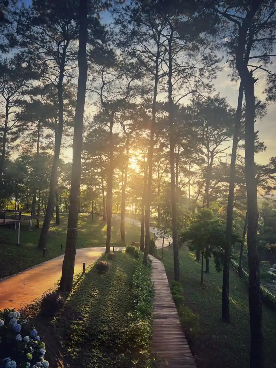 Review Harmony Tuần Châu - Check-in "Đà Lạt Thu Nhỏ" Giữa Biển Hạ Long 2023