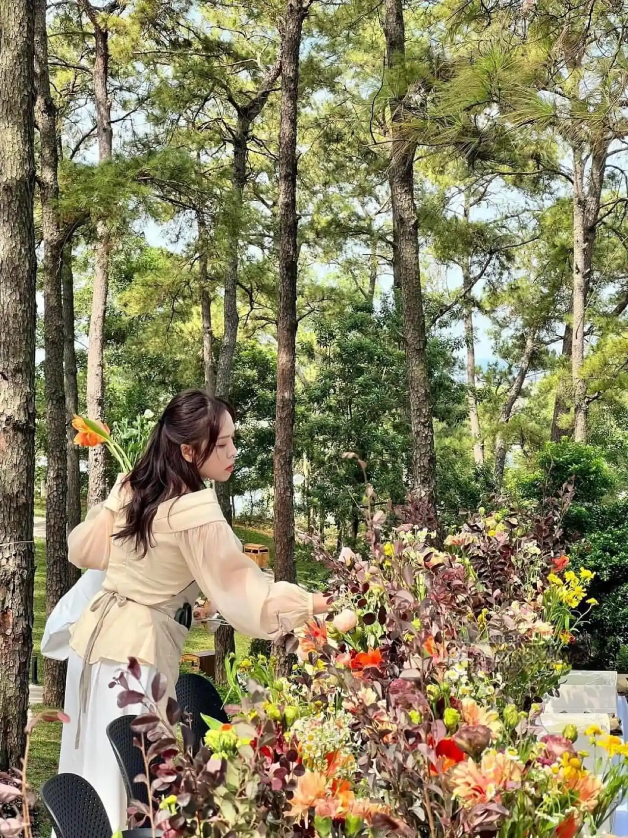 Review Harmony Tuần Châu - Check-in "Đà Lạt Thu Nhỏ" Giữa Biển Hạ Long 2023