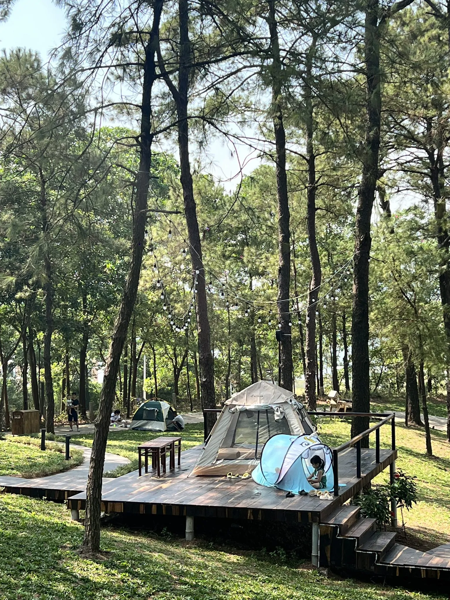 Review Harmony Tuần Châu - Check-in "Đà Lạt Thu Nhỏ" Giữa Biển Hạ Long 2023