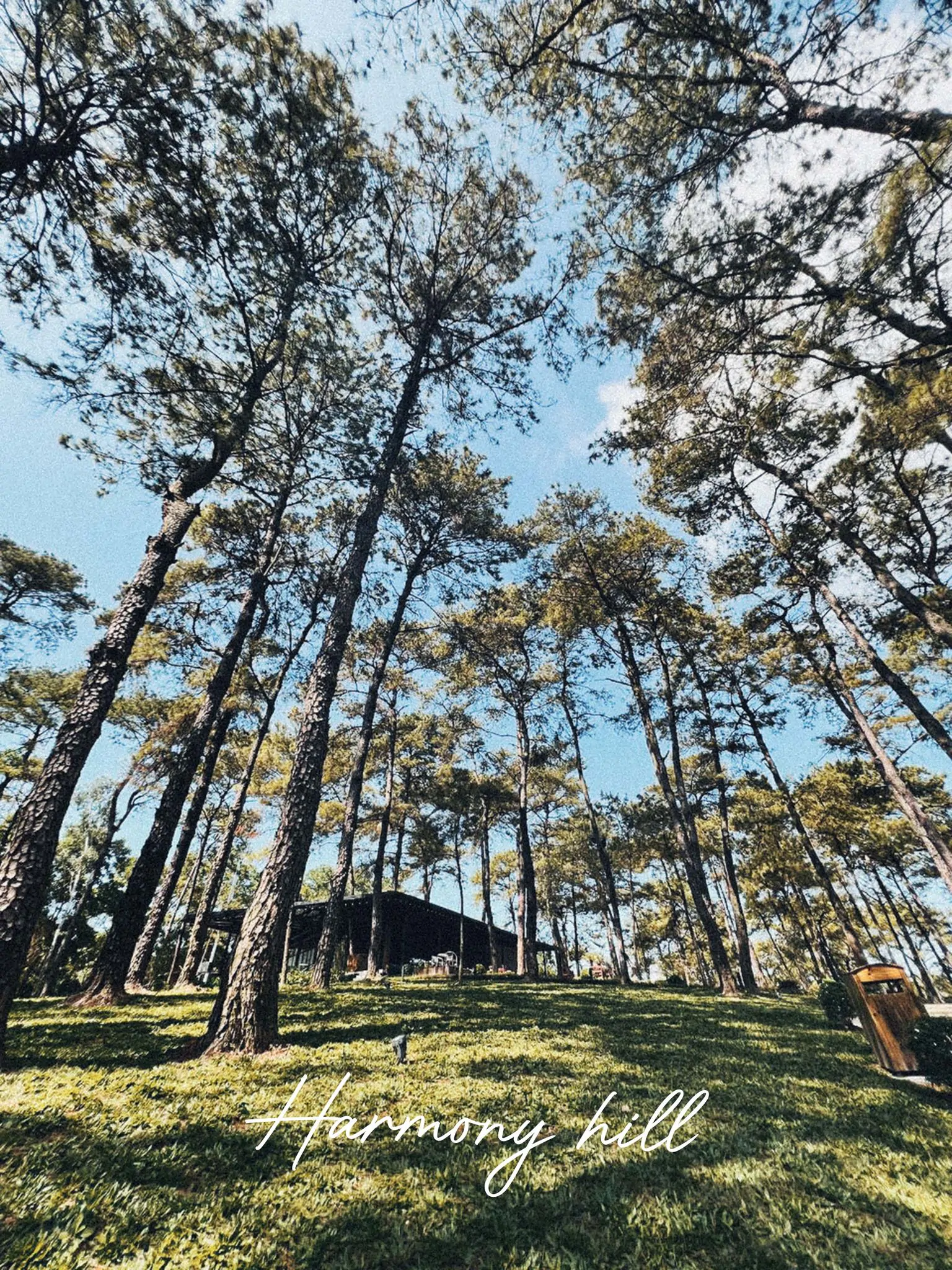 Review Harmony Tuần Châu - Check-in "Đà Lạt Thu Nhỏ" Giữa Biển Hạ Long 2023