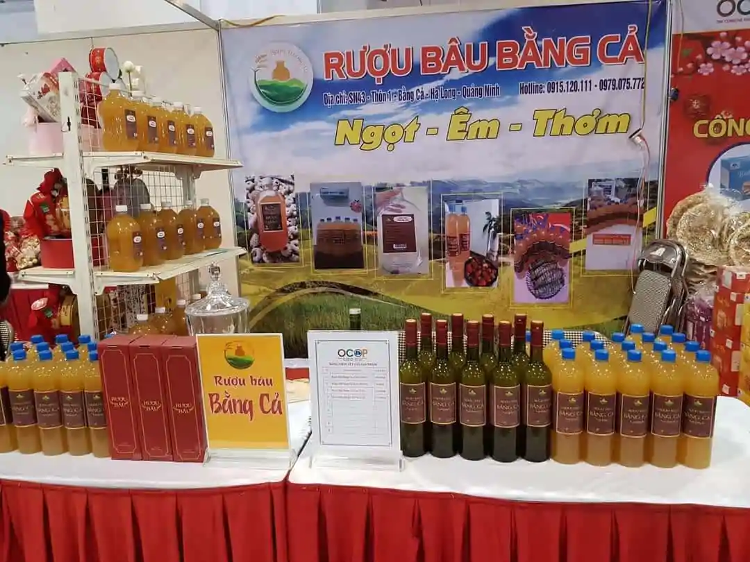 Khám Phá Đỉnh Kỳ Thượng Hoành Bồ - Nơi “Thâm Sơn, Cùng Cốc” Tại Hạ Long 2023 Khám Phá Đỉnh Kỳ Thượng Hoành Bồ - Nơi “Thâm Sơn, Cùng Cốc” Tại Hạ Long 2023