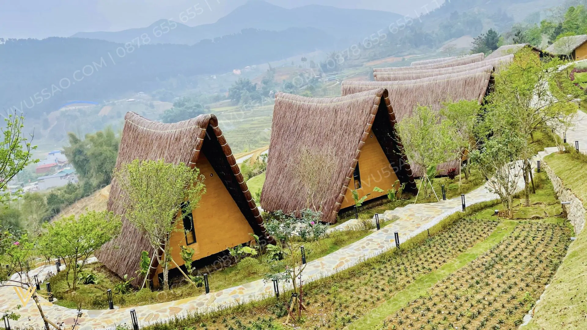 Du Lịch Mù Cang Chải Mùa Lúa Chín Năm 2025 Du Lịch Mù Cang Chải Mùa Lúa Chín Năm 2024