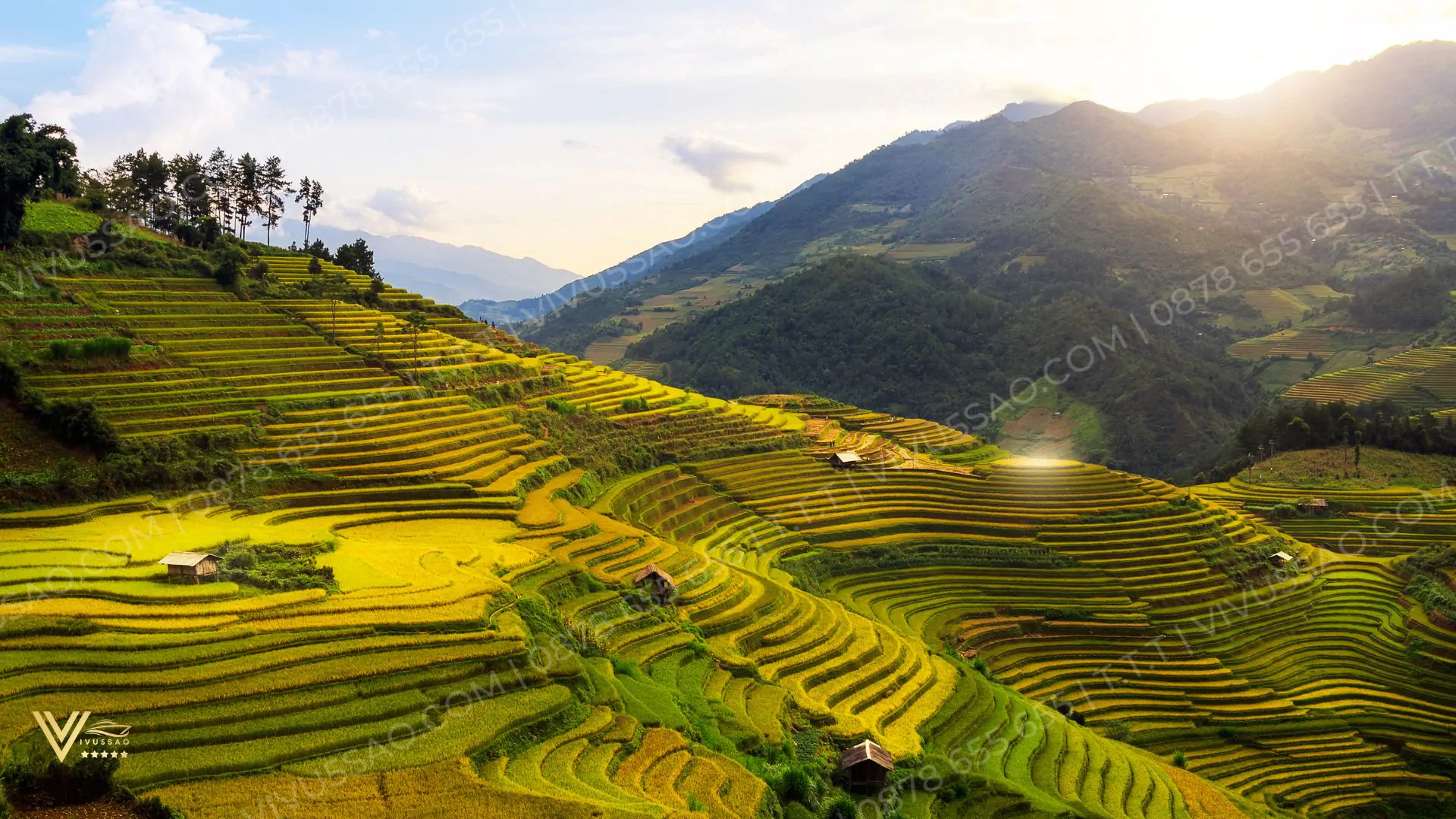 Du Lịch Mù Cang Chải Mùa Lúa Chín Năm 2025 Du Lịch Mù Cang Chải Mùa Lúa Chín Năm 2024