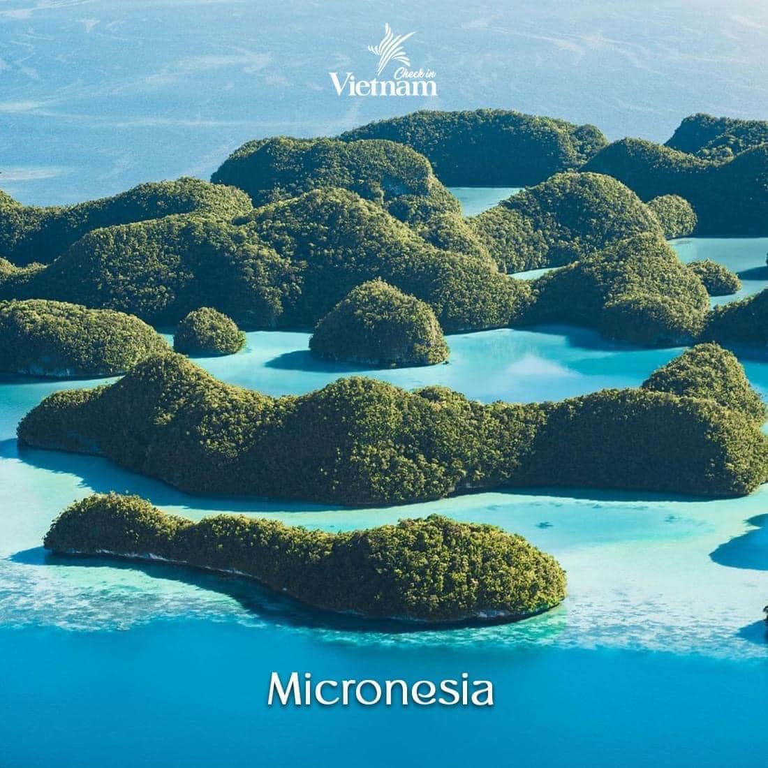 12. Micronesia