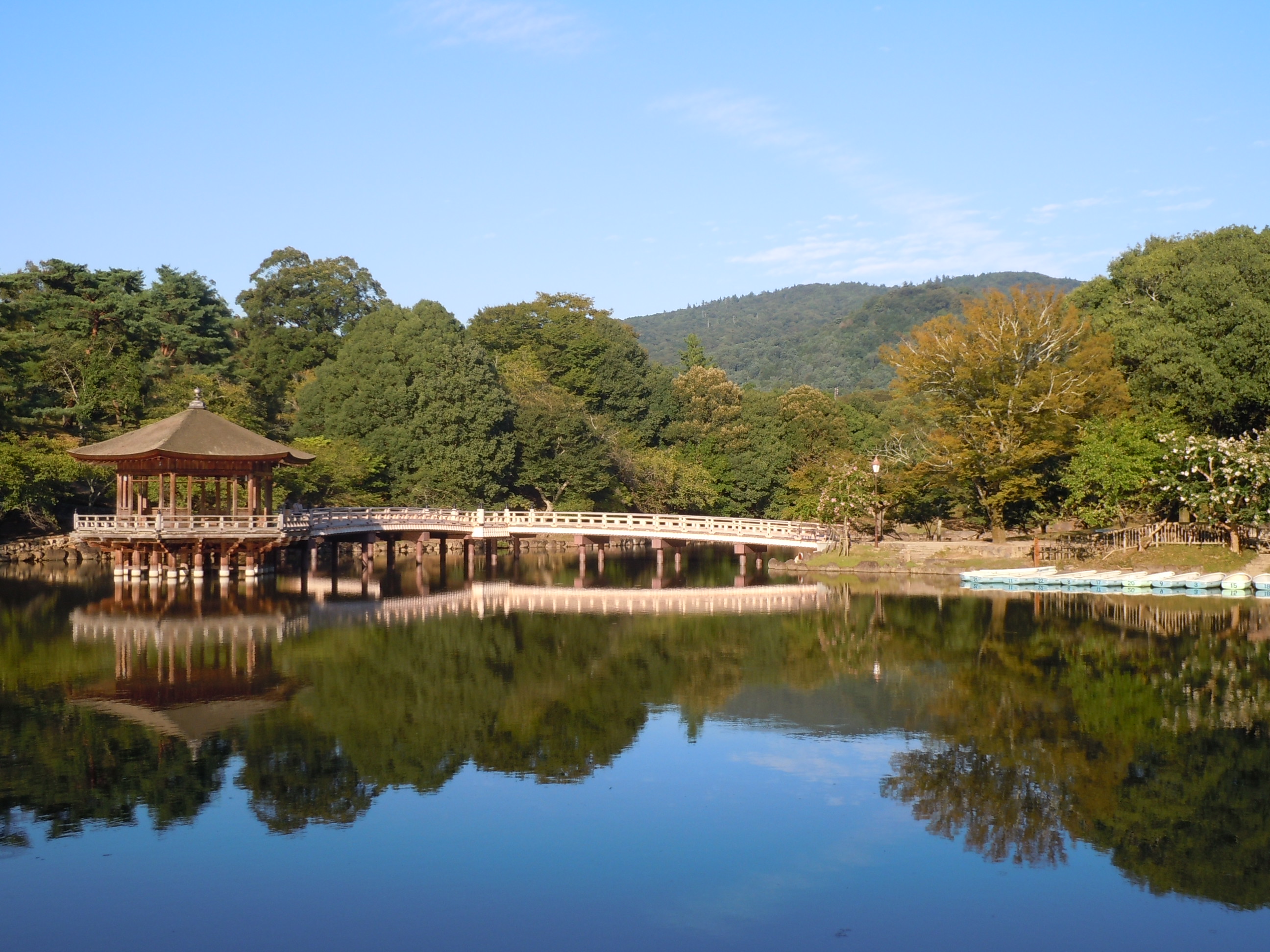 Nara Park panoramio 2