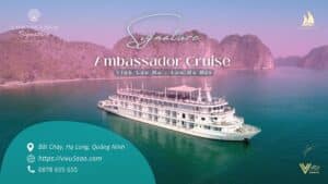 Thông tin du thuyền Ambassador Signature Cruise | Vivu5sao.com