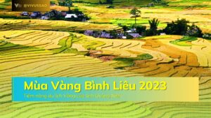 Mùa vàng Bình Liêu 2023 - Mảnh ghép quan trọng của du lịch Quảng Ninh