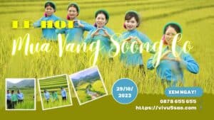 Chiêm ngưỡng “Mùa vàng miền Sóong Cọ” 2023 – Du lịch Tiên Yên, Quảng Ninh