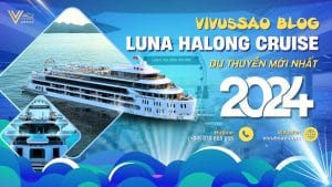 Review Du Thuyền Luna Halong Cruise 5 sao Mới Nhất Năm 2024 - Du Thuyền Luna Hạ Long