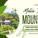 Review Khu Nghỉ Dưỡng Melia Ba Vì Mountain Retreat Mới Nhất 2024