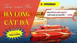 Tàu Cao Tốc Hạ Long - Cát Bà Chính Thức Hoạt Động Từ Tháng 11