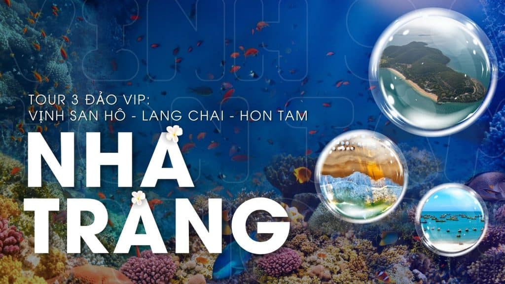 Tour Nha Trang khám phá 3 Đảo: Vịnh San Hô - Làng Chài - Hòn Tằm